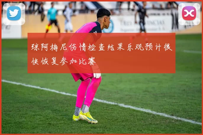 琼阿梅尼伤情检查结果乐观预计很快恢复参加比赛